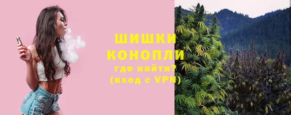 PSILOCYBIN Краснотурьинск