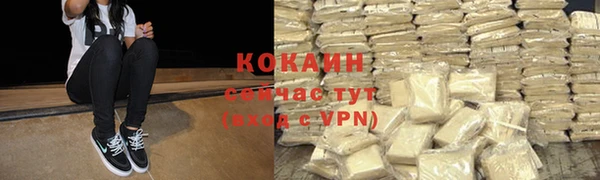 шишки Краснослободск
