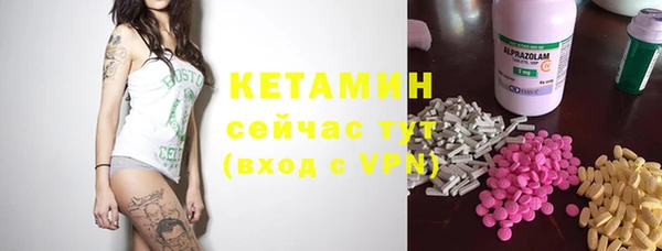 шишки Краснослободск