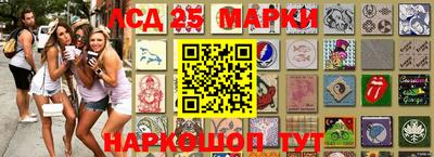 гидра Кандалакша