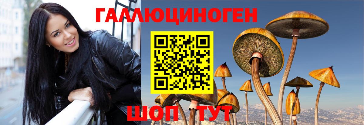 Луга  Галлюциногенные грибы GOLDEN TEACHER  Вход с VPN 